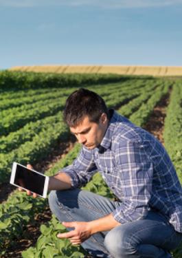 People working in a field 