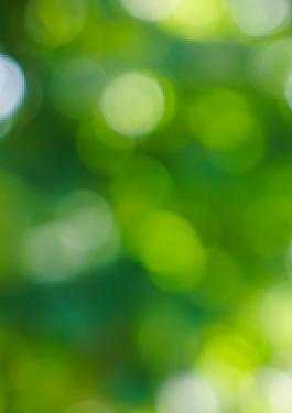csr_background